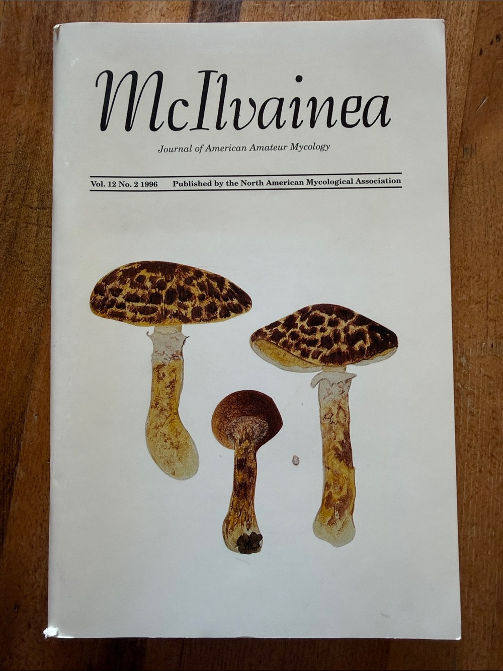 McIlvainea Journal of American Amateur Mycology Vol 12 No 2 1996